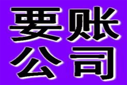 无力偿还债务强制执行应对策略
